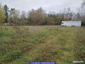 Terrain 3953 m² Appoigny