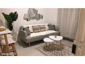 Appartement t2 rénové et loué