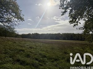 Vente Terrain à bâtir 15 100 m²