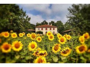 Grande maison de campagne avec gîte sur 1.5ha vue sur les collines