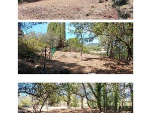 Vente terrain 1318 m² Saint-Paul-de-Vence (06570)