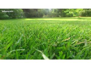 Terrain - Quartier résidentiel