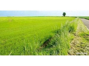 Terrain agricole pour voyageurs