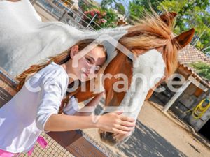 fonds de commerce à vendre SAINTES MARIES DE LA MER 1 pièce(s) 10000m2 499 900€