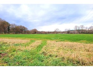 Annonce maison à vendre