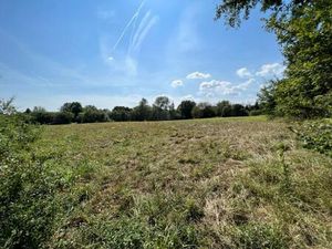 Vente terrain 12000 m² Savigny-en-Sancerre (18240)