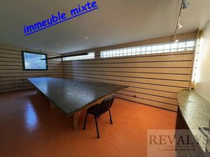 Vente immeuble 242 m² Plombières-lès-Dijon (21370)