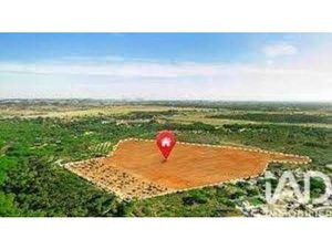 Vente Terrain à Dolus-d'Oléron (17550) : à vendre / 1226m² Dolus-d'Oléron