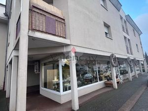 BARTENHEIM local commercial avec garage