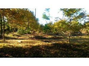 Vente terrain 612 m² Audenge (33980)