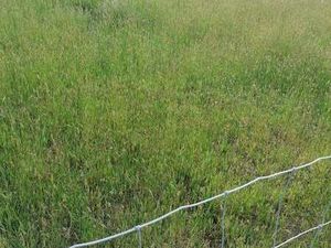 Vente Terrain à Merlevenez (56700) : à vendre / Merlevenez