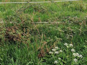 Vente Terrain à Saint-Gérand (56920) : à vendre / Saint-Gérand