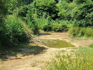 Vente maison 1230 m² Châteaubriant (44110)