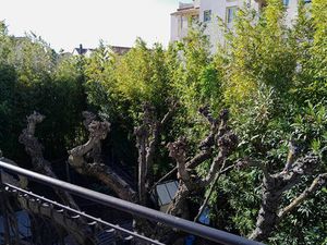 EXCLUSIVITE AVIGNON LE PONTET - A VENDRE APPARTEMENT DE 76 M² AVEC TERRASSE DE 13 M² FAIBL