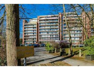 Bel appartement avec vue sur un parc à Uccle