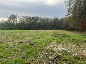 Terrain constructible viabilisé à vendre