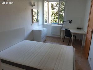 T4 la tronche idéal location étudiant médecine