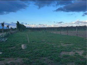 Location terrain 2500 m2 Canet en Roussillon