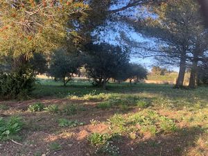 Vente terrain 657 m² à Saint-Chamas (13250)  234 000 €