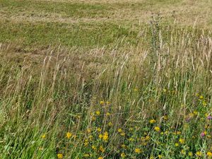 Terrain constructible 2239m2