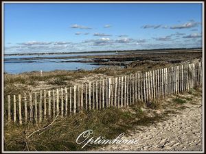 Appartement à vendre 2 pièces LE CROISIC (44)