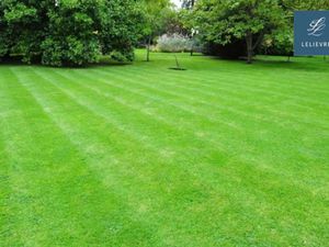 Vente terrain 900 m² à Choussy (41700)  15 000 €