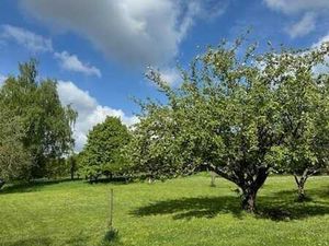 Terrain à bâtir de 16 ares 61 centiares à Beez (LOT 1)