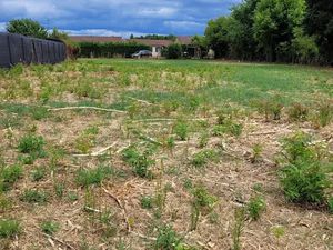 Vente terrain 850 m² à Lezoux (63190)  77 000 €