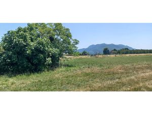 Vente terrain 369 m² à Saint-Bonnet-de-Chavagne (38840)  69 000 €