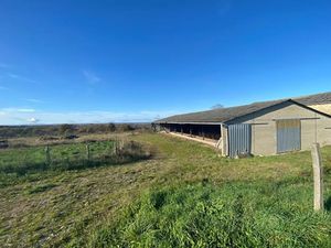 Vente terrain 36015 m² à Séreilhac (87620)  55 000 €