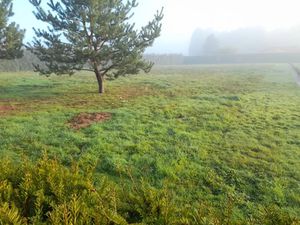 Vente terrain 1700 m² à Couzeix (87270)  77 000 €