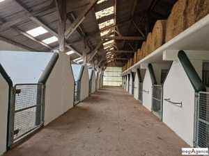 Vente Maison à Nozay (44170) : à vendre / 2370m² Nozay