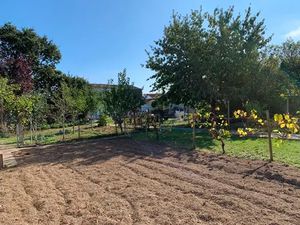 Vente terrain 824 m² à Marans (17230)  195 000 €