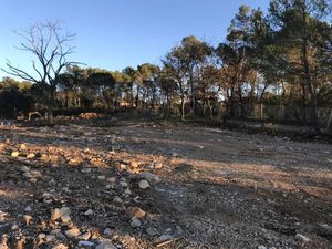 Vente terrain 175 m² à Rocbaron (83136)  85 000 €