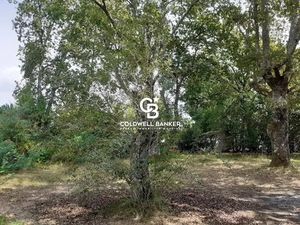 Vente terrain à batir 500 m² à Andernos-les-Bains (33510)  543 000 €