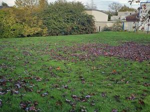 Vente Terrain à Domloup (35410) : à vendre / 736m² Domloup