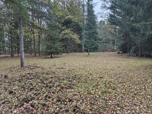 Vente Terrain à Mulsanne (72230) : à vendre / Mulsanne