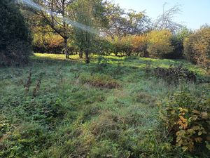 TERRAIN À BÂTIR EXCLUSIF ENVIRON 740 M2 CHAMPAGNEY