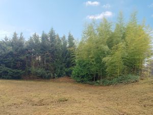 Terrain de 300m2 pour maison de 75m2 LENTILLY