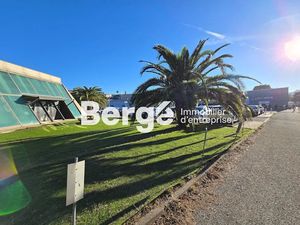 Location locaux professionnels 139 m² à Cannes la bocca (06150)  1 564 €