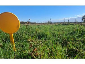 Terrain Teillay m² T- à vendre  50 543 €