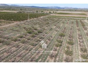 Terrain agricole 12 550 m² Espira De L Agly