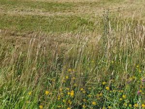 Terrain 2 239 m² Retiers