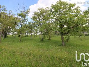 Terrain 980 m² Monteaux