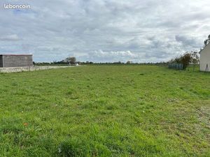 Terrain constructible