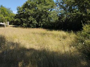 Terrain constructible viabilisé à vendre