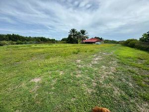 PILA Jean Michel Capifrance