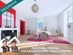 Rare : Appartement de charme dans ancien château avec parc arboré  vue sur la Sûre !