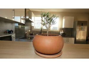 Une belle chambre en colocation à 5 mns du tram