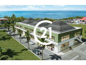 CASE PILOTE  Locaux commerciaux